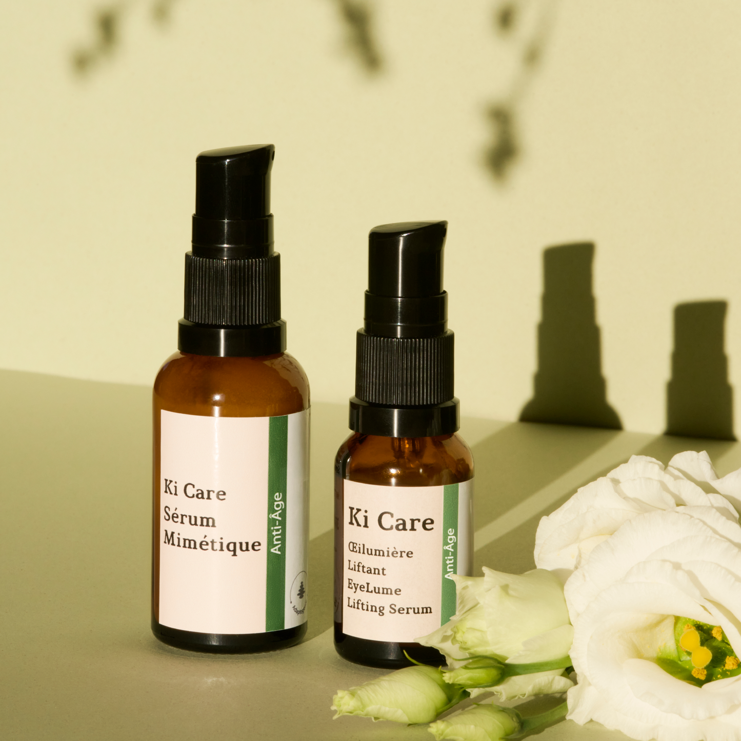 Rutina Antioxidante Básica