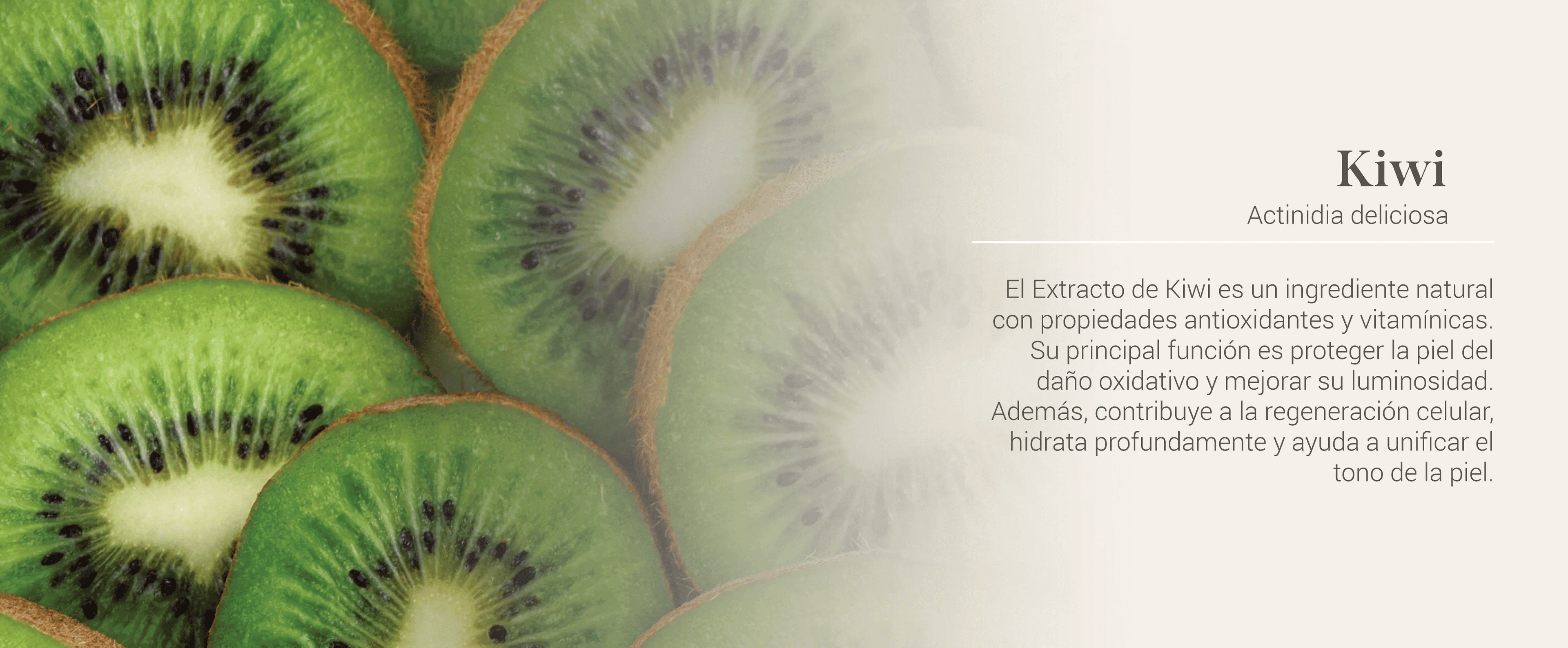 Banner Ingrediente Natural Kiwi