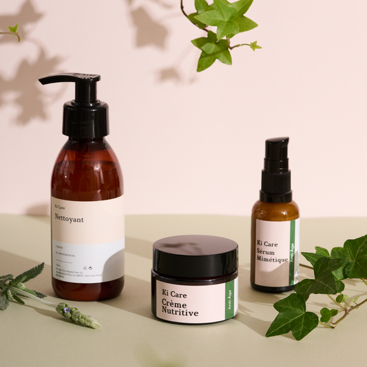 Rutina Antiedad Antioxidante Integral