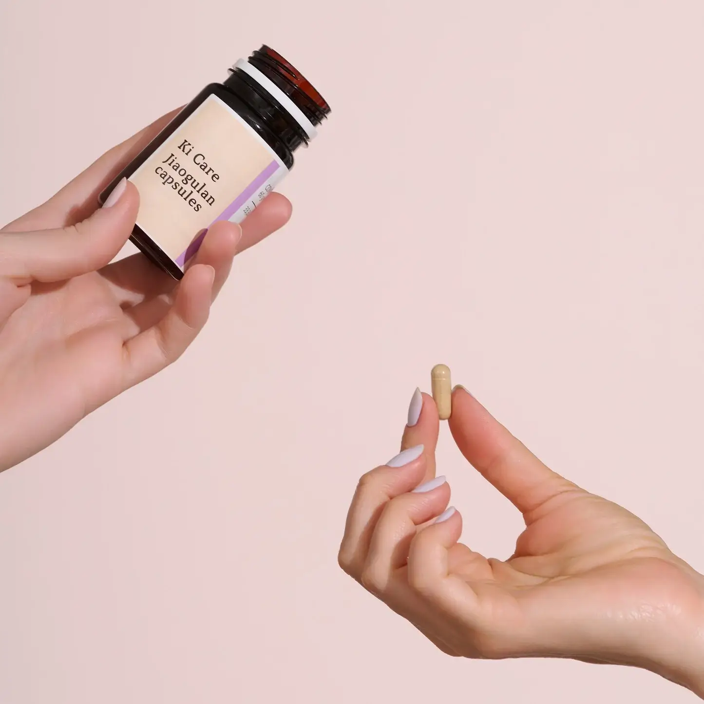 Suplemento Natural de Jiaogulan con 60 Capsulas